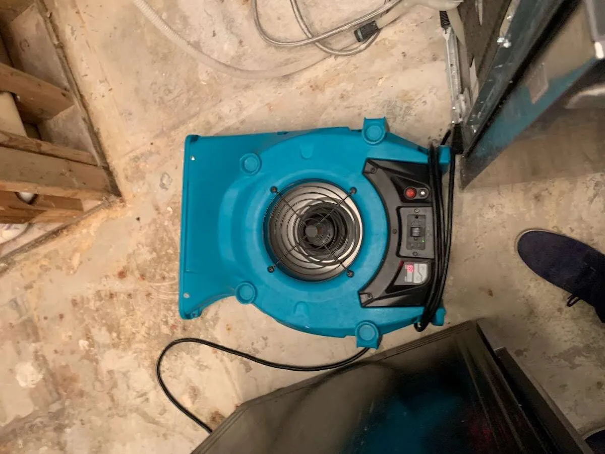 Air mover drying equipment for Mold Remediation & Removal in Menifee